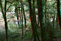 DSC_2838-9-rba