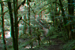 DSC_2842-3-rba